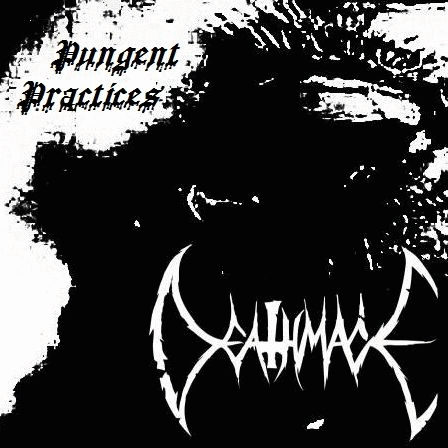 Deathmace : Pungent Practices